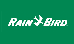Rainbird Rainbird